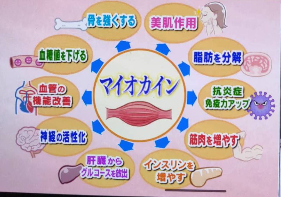 ダウンロード (4)